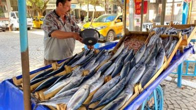 Balıkesir haber! Erdek'te balık sezonu bereketli geçiyor