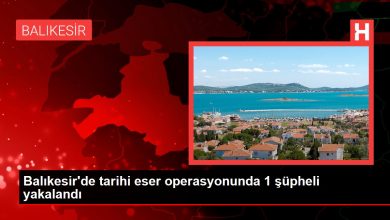 Balıkesir haberi! Balıkesir'de tarihi eser operasyonunda 1 şüpheli yakalandı